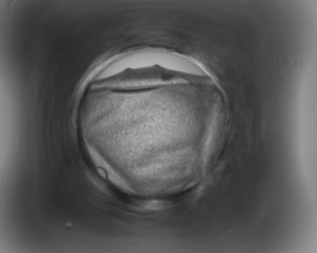 X0000085290151200703301945