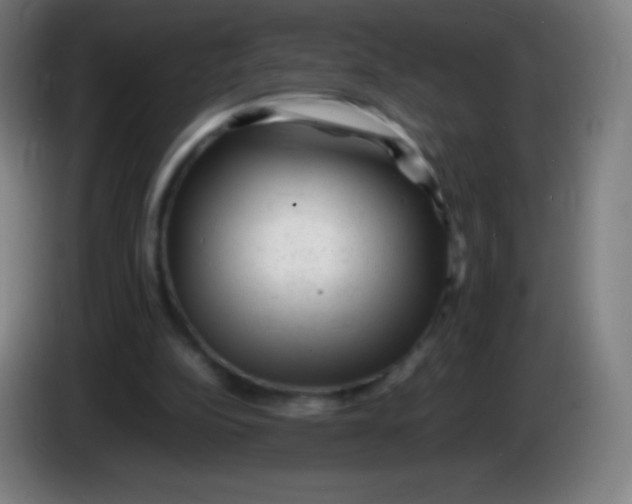X0000085290152200703301945