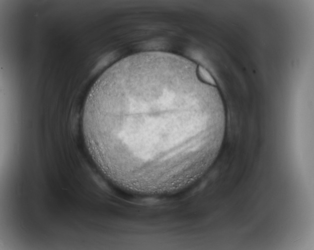 X0000085290153200703301945