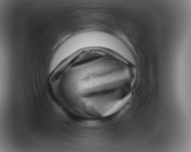 X0000085290154200703301945
