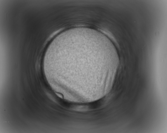 X0000085290155200703301945