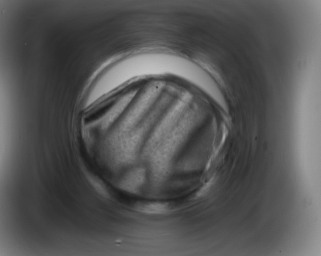 X0000085290156200703301945