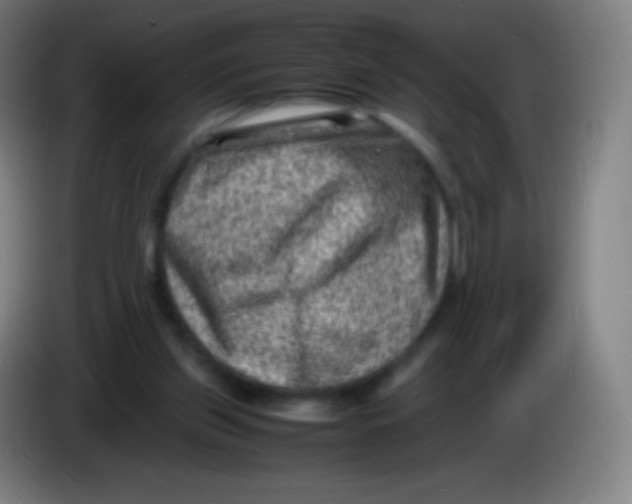 X0000085290157200703301945