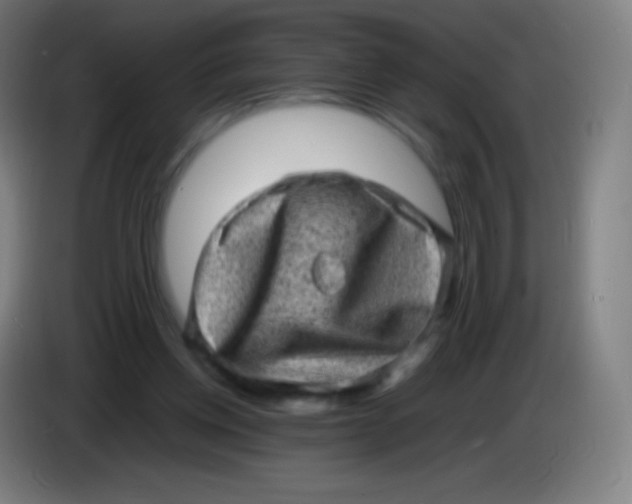 X0000085290158200703301945