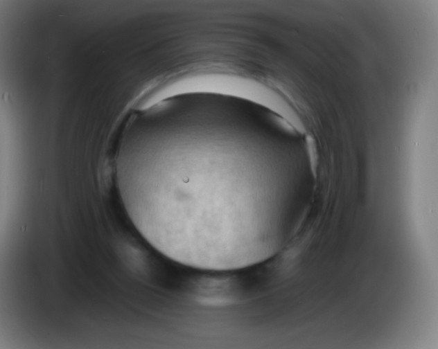 X0000085290160200703301945