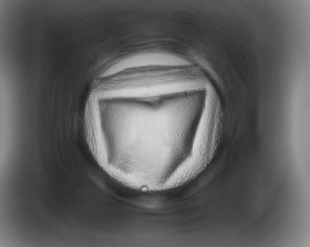 X0000085290161200703301945
