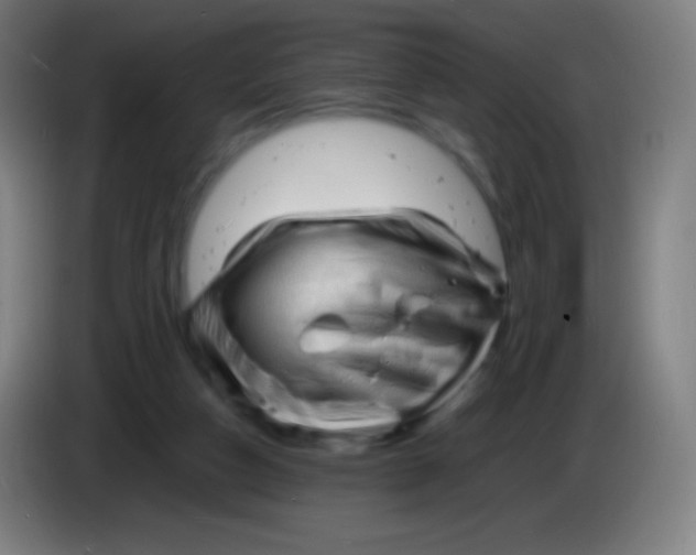 X0000085290162200703301945