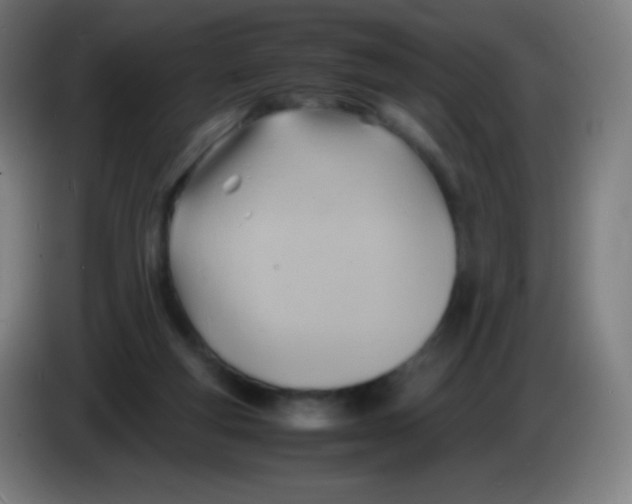 X0000085290163200703301946