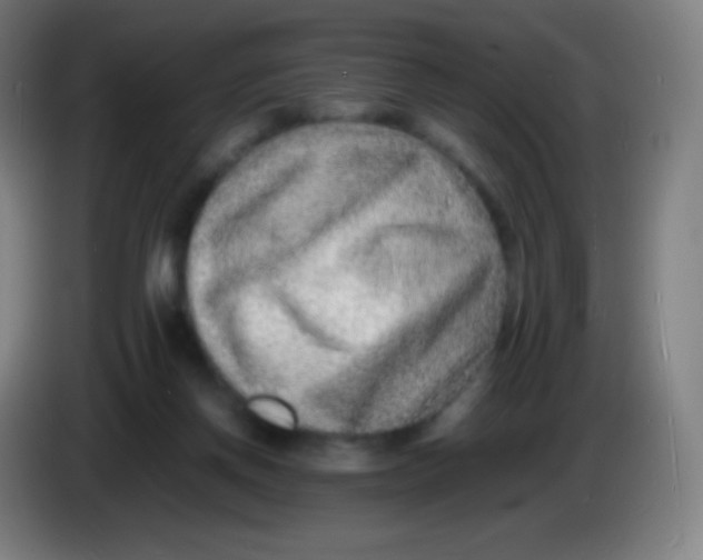 X0000085290166200703301946