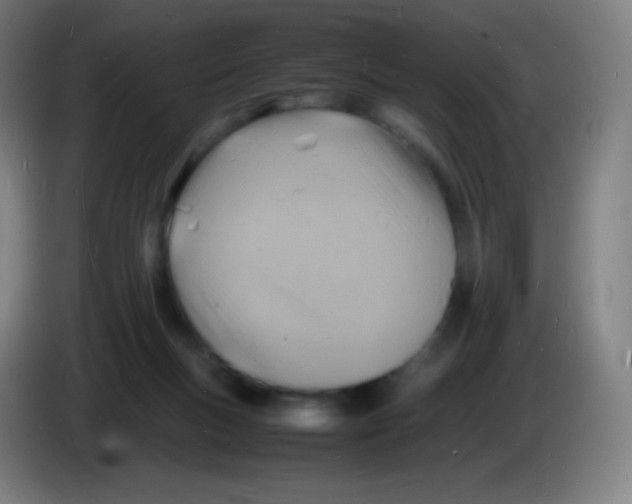 X0000085290167200703301946