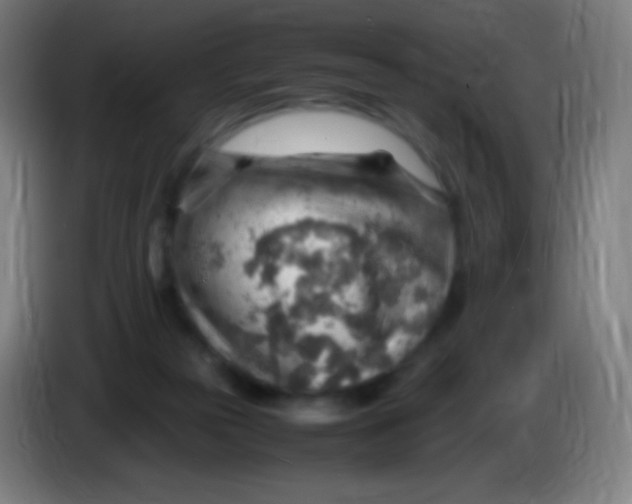 X0000085290169200703301946