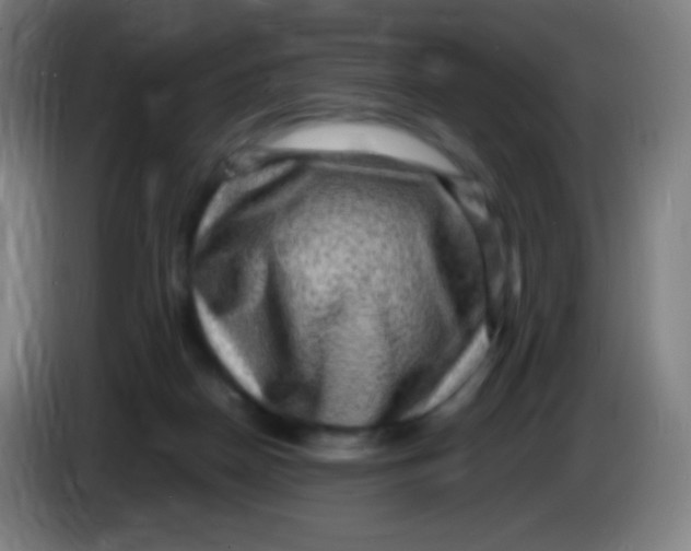 X0000085290170200703301946