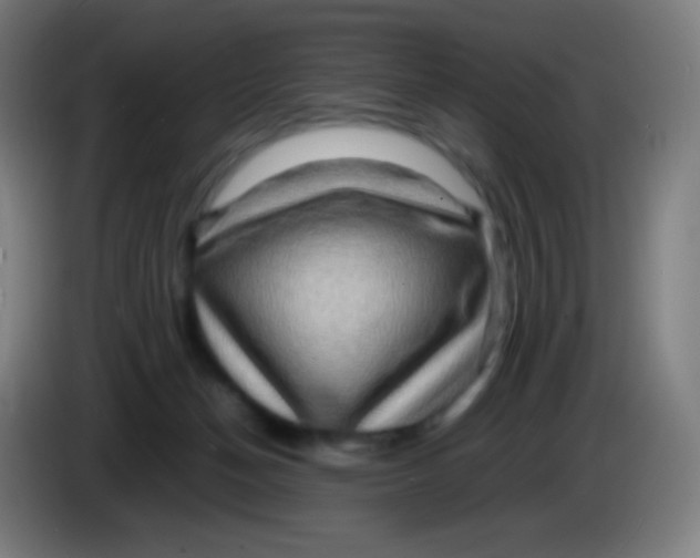 X0000085290174200703301946