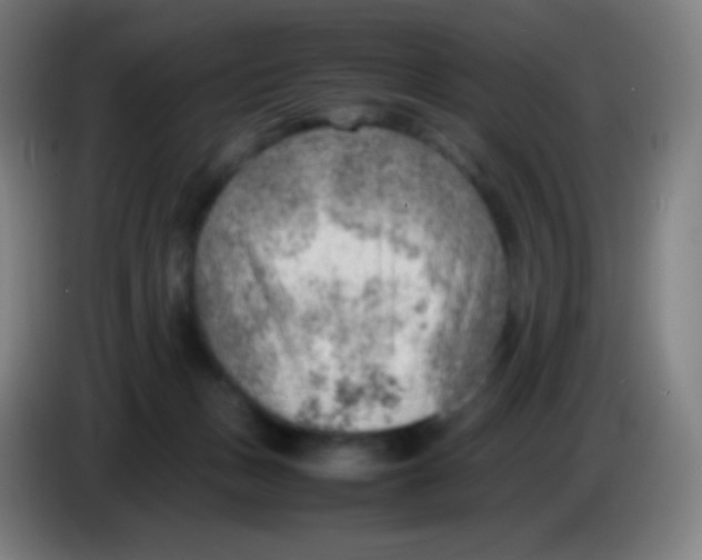 X0000085290175200703301946