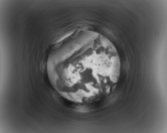 X0000085290177200703301946