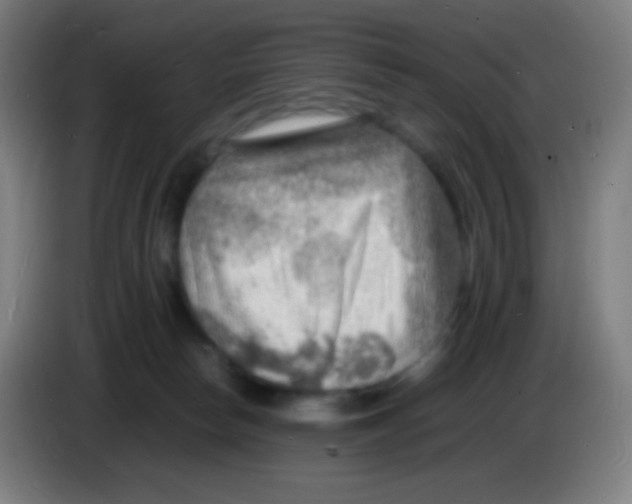 X0000085290178200703301946