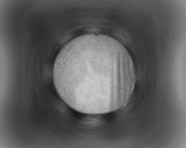 X0000085290179200703301946