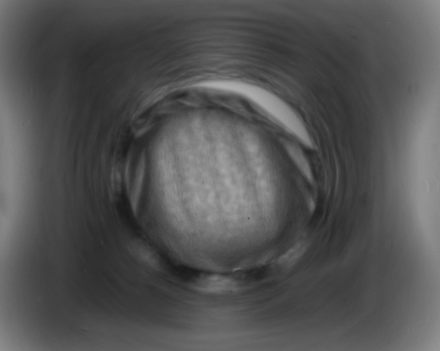 X0000085290180200703301946