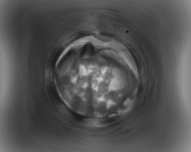 X0000085290182200703301946