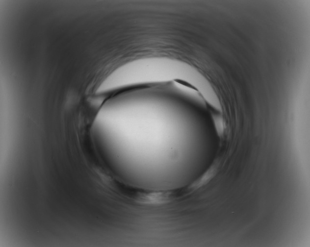 X0000085290184200703301946