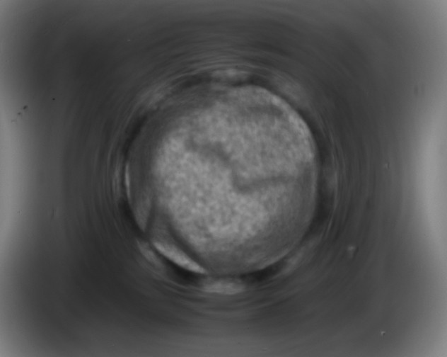 X0000085290185200703301946