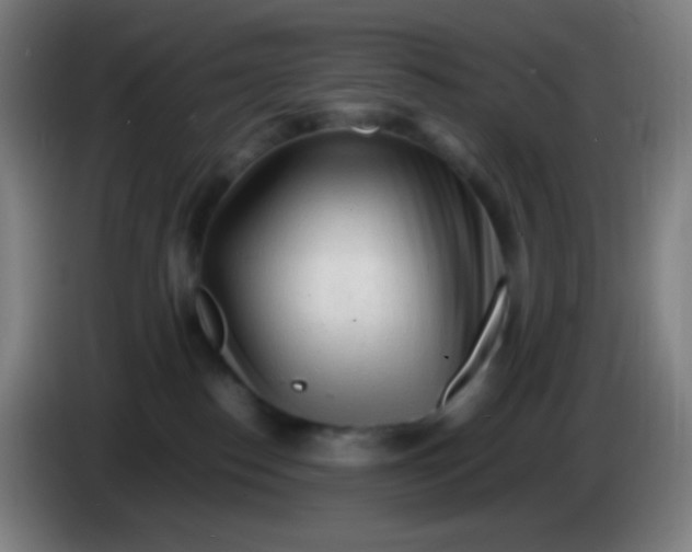 X0000085290186200703301946