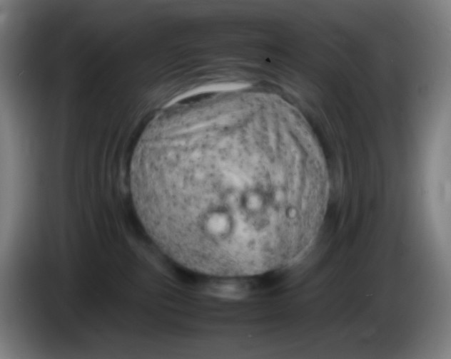 X0000085290187200703301946