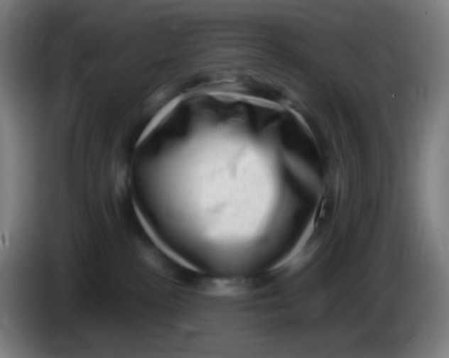 X0000085290188200703301946