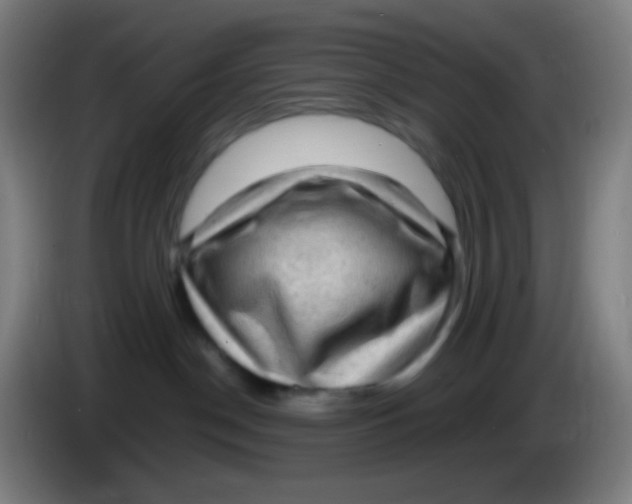 X0000085290190200703301946