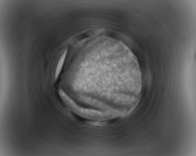 X0000085290191200703301946