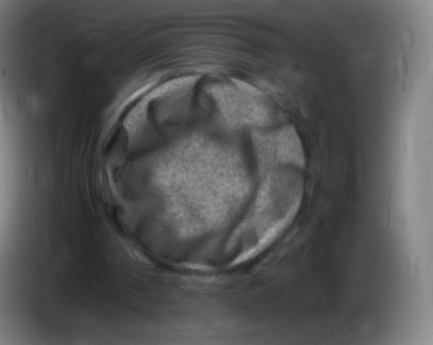 X0000085290194200703301945