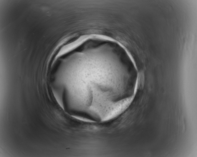X0000085290195200703301945