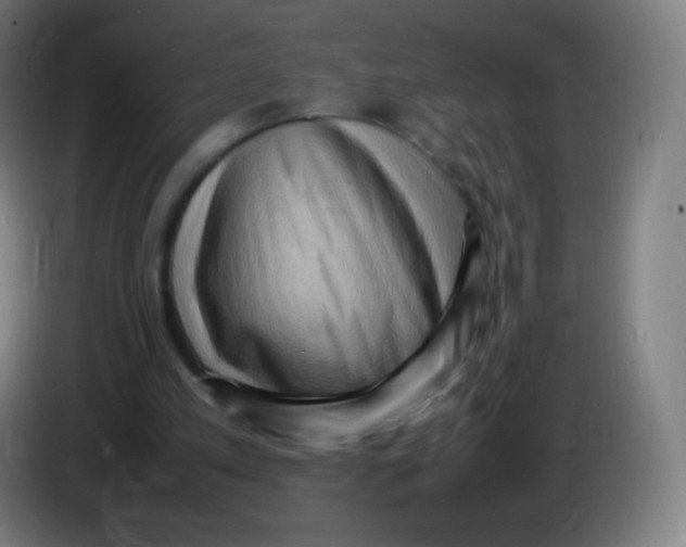 X0000085290197200703301945