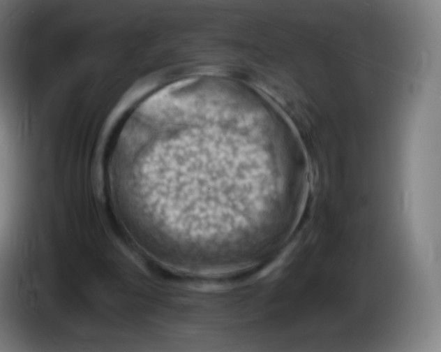 X0000085290198200703301945