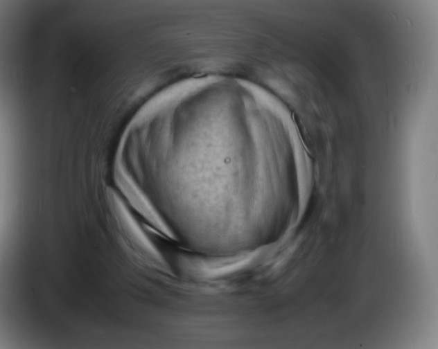X0000085290201200703301945