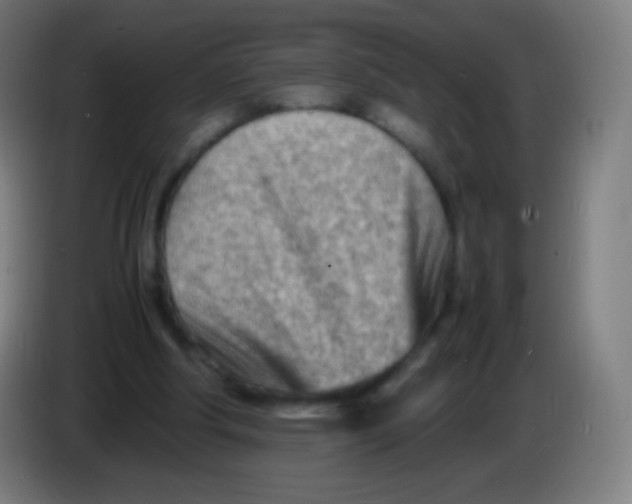 X0000085290202200703301945