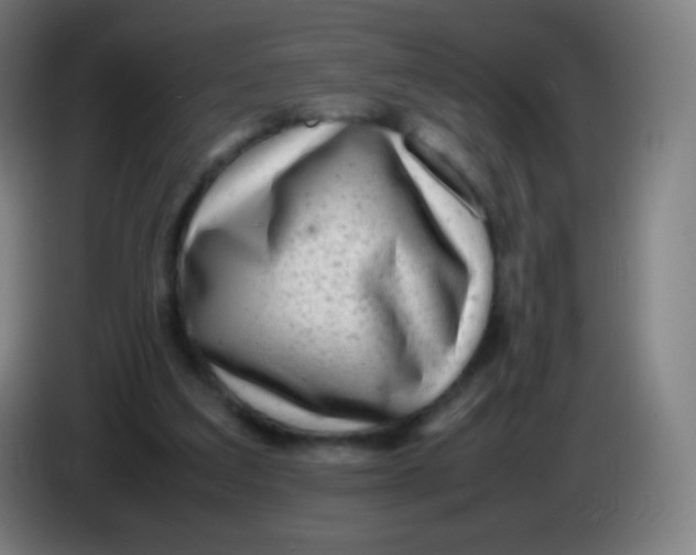 X0000085290203200703301945