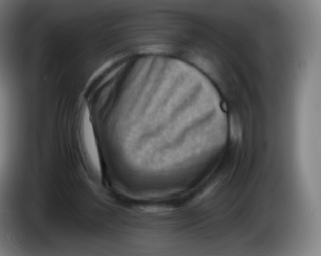 X0000085290204200703301945