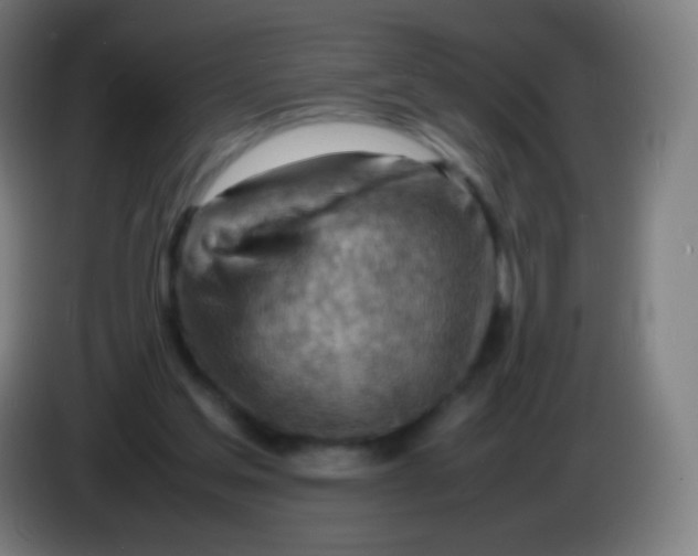 X0000085290205200703301945