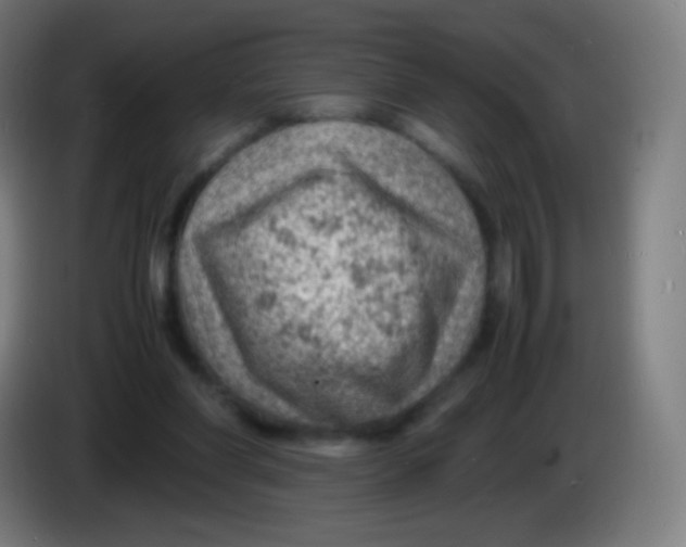 X0000085290206200703301945