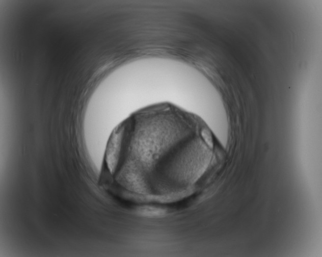 X0000085290207200703301945