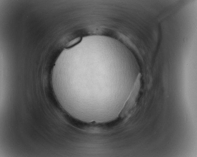 X0000085290209200703301945