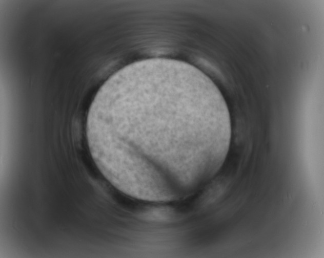 X0000085290210200703301945