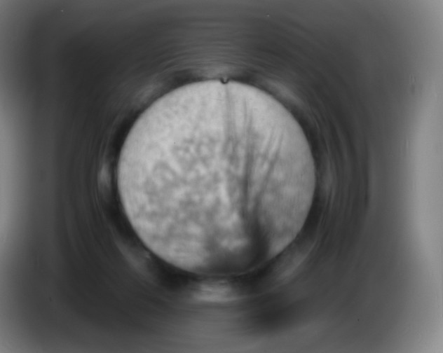 X0000085290214200703301945