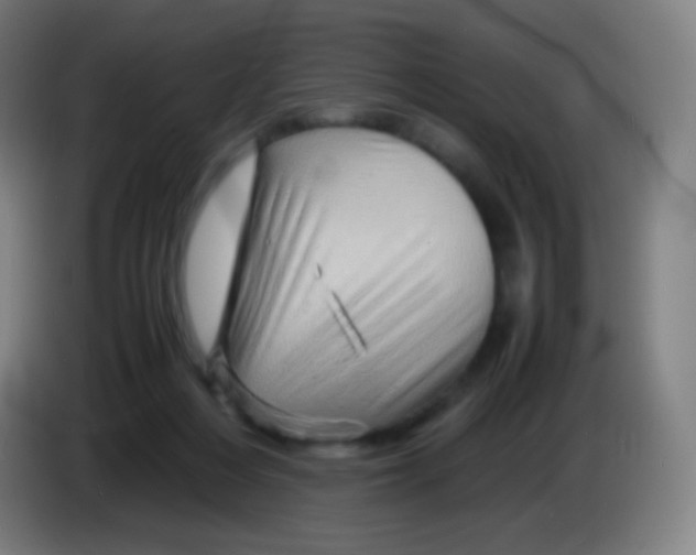 X0000085290216200703301945