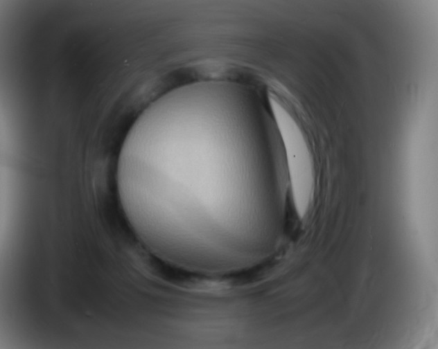 X0000085290217200703301945