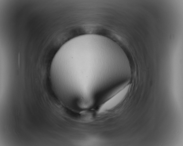 X0000085290221200703301945