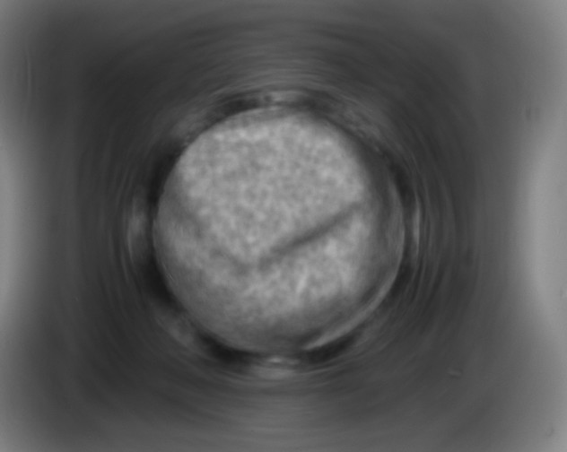X0000085290222200703301945