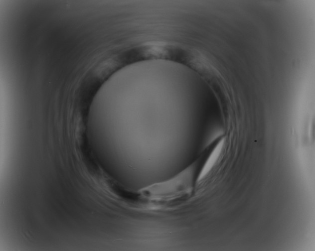 X0000085290223200703301945