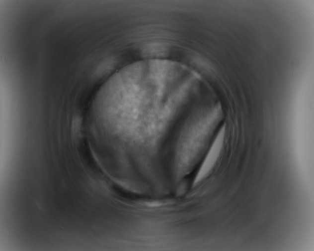 X0000085290224200703301945
